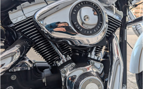 HARLEY FXDL1580 2008 GN4