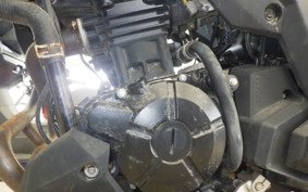 KAWASAKI VERSYS-X 250 A LE250D