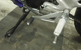 YAMAHA YZF-R15 2021 RG86J