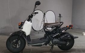 HONDA ZUMAR AF58