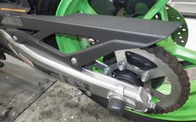 KAWASAKI ZX-4RR 2024 ZX400P