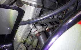 KAWASAKI ZX900R NINJA 2001