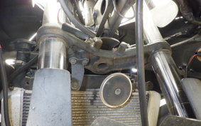 KAWASAKI NINJA 250R EX250K