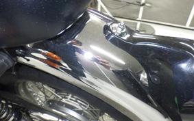 KAWASAKI W800 2015 EJ800A