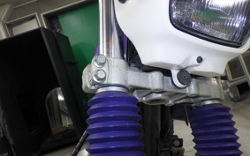 KAWASAKI SUPER SHERPA 2013 KL250G