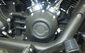 HARLEY FXBB1750 2018