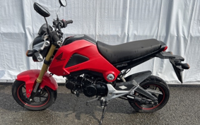 HONDA GROM