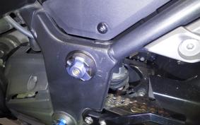 KAWASAKI NINJA 250 2024 EX250L