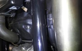 TRIUMPH SPEED TWIN 2020