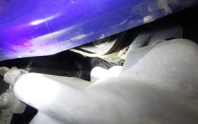 YAMAHA AXIS 100 SB06J