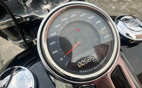 HARLEY FLSB 2019 YMJ