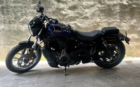 HARLEY  HARLEY RH975S NIGHT  STAR  2024 ZF1