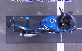 OTHER GSX250 R