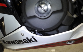 KAWASAKI NINJA 400 2021 EX400G