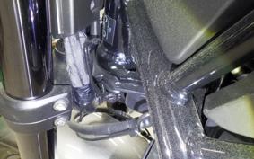 HONDA REBEL 1100 DCT 2025 SC83