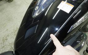 YAMAHA DRAGSTAR 250 2023 VG02J