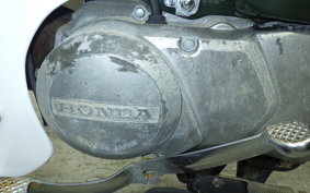 HONDA C50 SUPER CUB C50