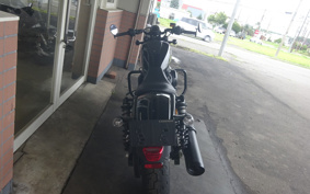 HARLEY RH975 NIGHT STAR 2023 ZH1