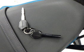 KAWASAKI Z125 PRO 2021 BR125H