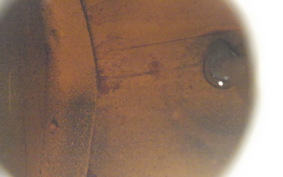 HARLEY FLSTC 1340 1990