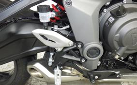 TRIUMPH DAYTONA660 2024