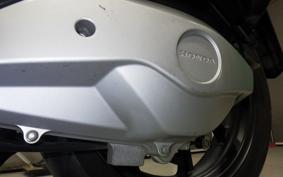 HONDA PCX 125 JF81