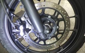 SUZUKI Vｽﾄﾛｰﾑ250SX 2022 EL11L