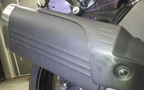 KAWASAKI NINJA ZX-6R A 2024 ZX636J