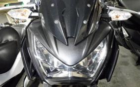 KAWASAKI Z250 ER250C