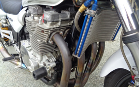 HARLEY FLSB 2022 YMJ