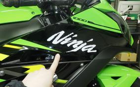 KAWASAKI ZX 10 NINJA ABS 2019