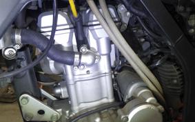 KAWASAKI KLX250D TRACKER X LX250V