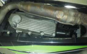 KAWASAKI NINJA 250 EX250L