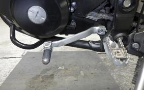 KAWASAKI KLX250D TRACKER X 2024 LX250V