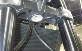 TRIUMPH TRIDENT 660 2021