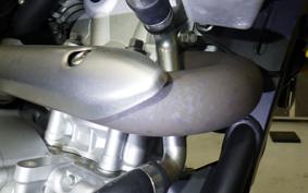 YAMAHA WR250X 2019 DG15J
