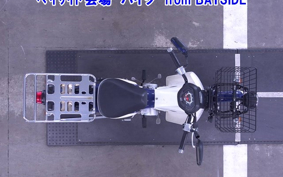 OTHER C110PU LOW 3
