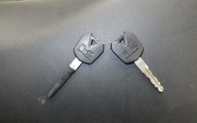 KAWASAKI NINJA 250 EX250L