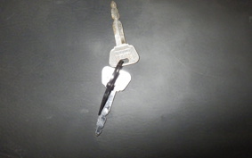 YAMAHA MAJESTY 250 Gen.2 SG03J