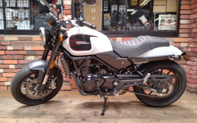 HARLEY X500 2024 W5B