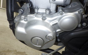 YAMAHA WR250X 2006 DG15J