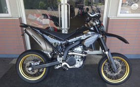 YAMAHA WR250X DG15J