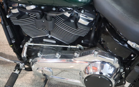 HARLEY FLSB 2019 YMJ