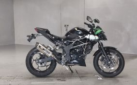 KAWASAKI Z250 SL BR250E