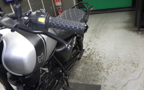 OTHER +UNREGISTERED MODEL by BDS250