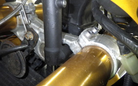 TRIUMPH DAYTONA 675 2007