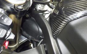 BMW S1000RR M DDC 2025