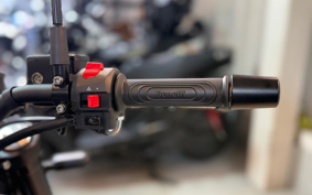 BENELLI RE ON CHI-NO250