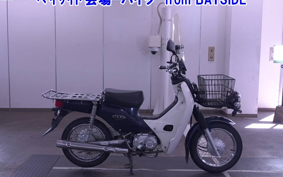 OTHER C110PU LOW 2