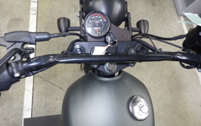 OTHER UNREGISTERED MODEL by BDS250 2021